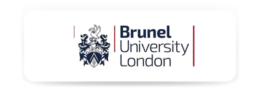 Brunel University