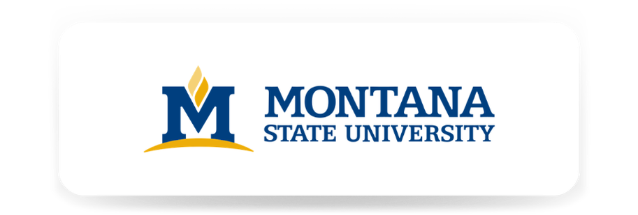 Montana State University